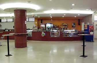 Free Willy Lanches - Foto 1