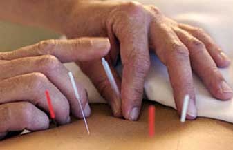 Dra. Janeth Magda De C. Coutin - Foto 1