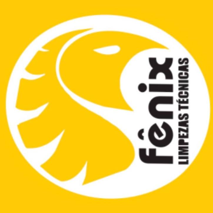 Fênix Limpezas Técnicas - Foto 1