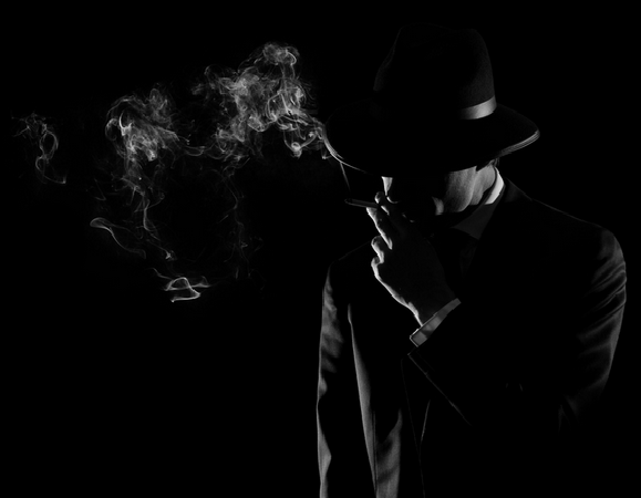 Detetive Particular Brusque SC - Foto 1