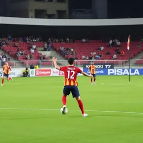 Brusque e Santa Catarina