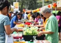 bazar Apae de Brusque