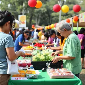 bazar Apae de Brusque