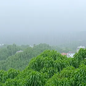 pancadas de chuva em Brusque