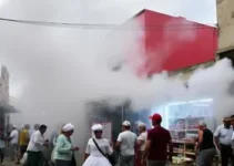 Festa Nacional do Pinhão