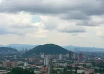 Volta Redonda x Brusque