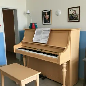 projeto levou piano para hospital de Brusque