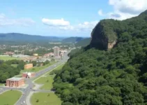 missão técnica