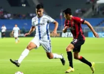 melhores momentos do Paysandu x Brusque